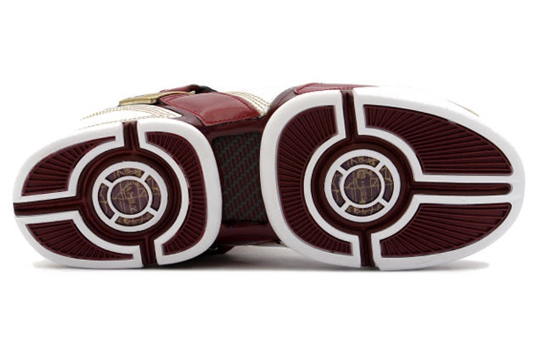 Details for Nike Zoom LeBron 5 ''Christ The King'' Schoenen 317253-111