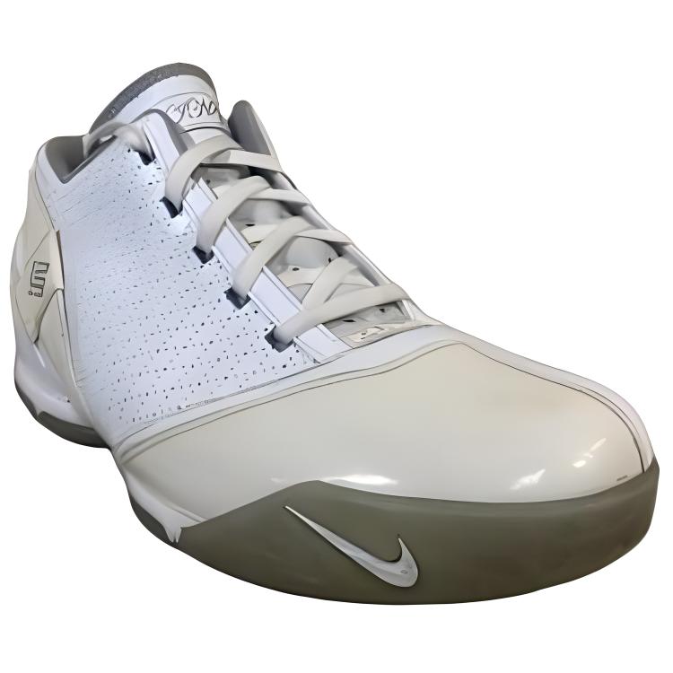 Lookbook Nike Zoom LeBron 5 Low Herrenschuhe 318696-111