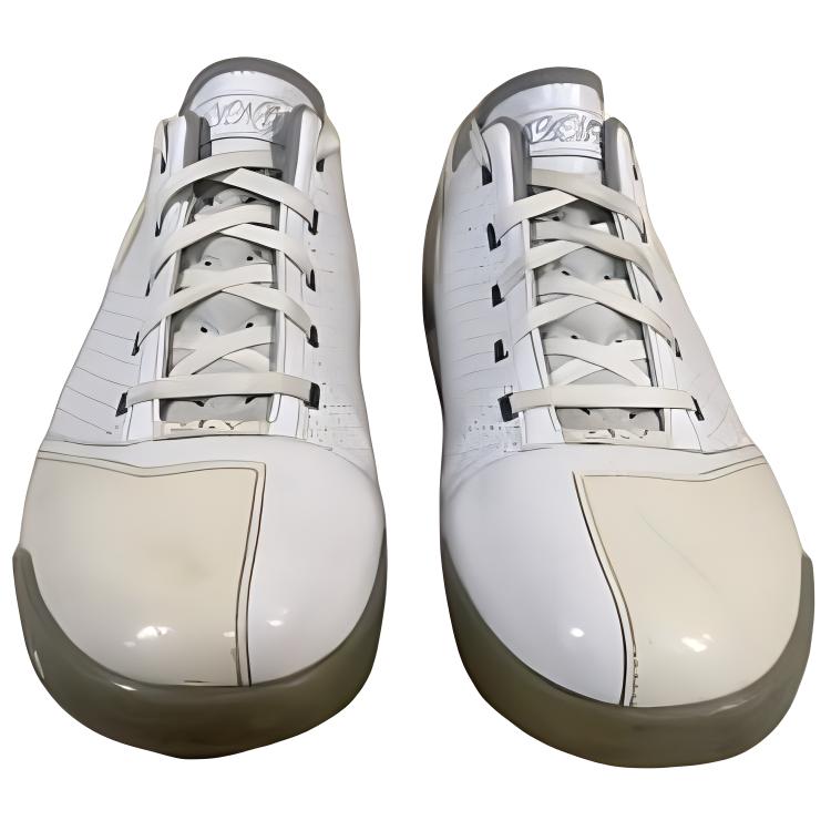 Shop Nike Zoom LeBron 5 Low Herrenschuhe 318696-111