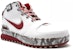 Nike Zoom LeBron 6 'Ohio State' Sepatu Lelaki 346526-161