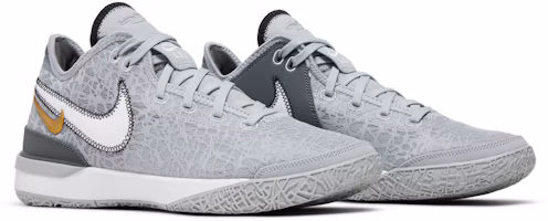Cheap 耐吉Zoom LeBron NXXT Gen '狼灰' DR8784-004
