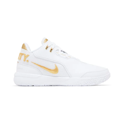 Nike Zoom LeBron NXXT Gen AMPD 'Equity'