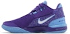 Nike Zoom LeBron NXXT Gen AMPD 'Summit Lake Hornets' Malaysia Edition FJ1566-500