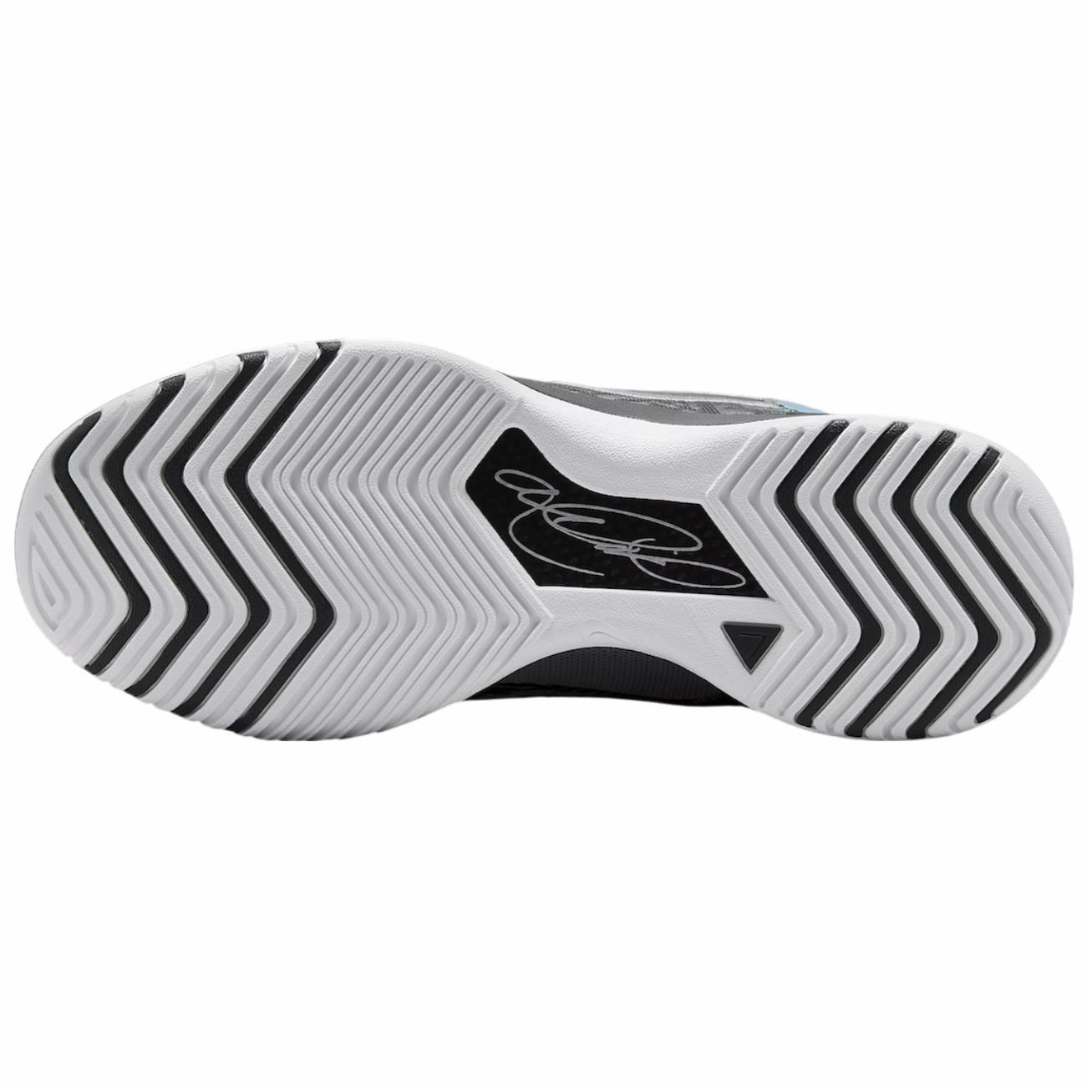 Details for 나이키 줌 르브론 NXXT 제너시스 '블랙' HF0712-004