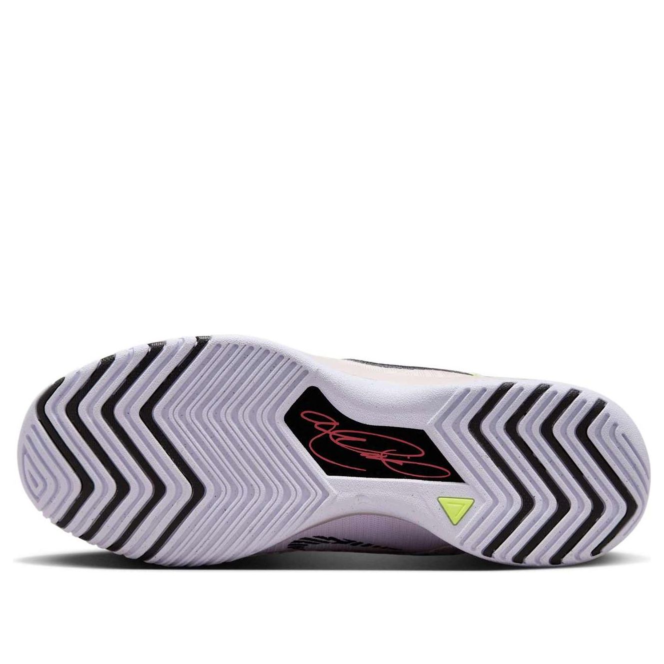 Details for Nike Zoom LeBron NXXT Genisus 'Platino Violeta' HF0712-005