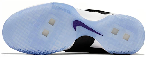 Purchase Nike Zoom LeBron Soldier 10 EP ''Sacramento Kings'' Herren Basketballschuhe 844375-008