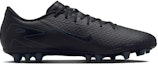 Order Nike Zoom Mercurial Vapor 16 Academy AG '2024 Shadow Pack' FQ8364-002