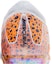 Sizing Nike Zoom Mercurial Vapor 16 Elite FG 'Electric Pack' FQ8680-900