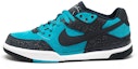 Buy Nike Zoom Paul Rodriguez 3 'Biru' 366620-341