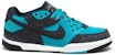 Nike Zoom Paul Rodriguez 3 'Biru' 366620-341