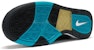 Nike Zoom Paul Rodriguez 3 'Biru' 366620-341