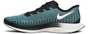 Nike Zoom Pegasus Turbo 2 'Pumice' Lelaki/Wanita Kasut Larian AT2863-006