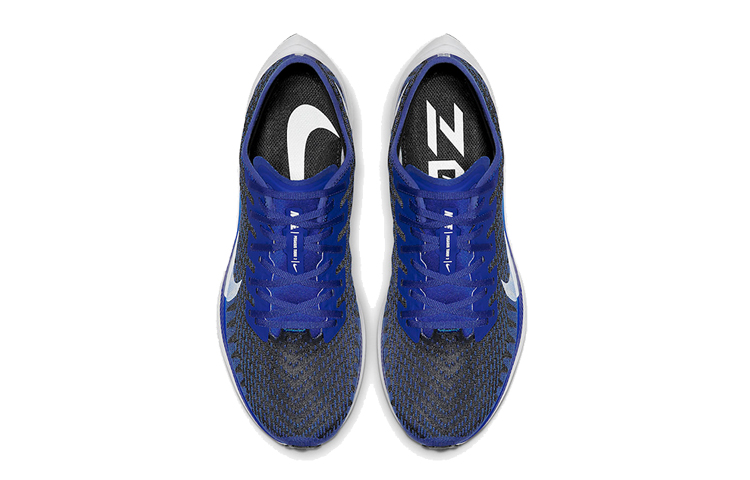 Shop Nike Zoom Pegasus Turbo 2 'Racer Blue' - Biru Pelumba AT2863-400