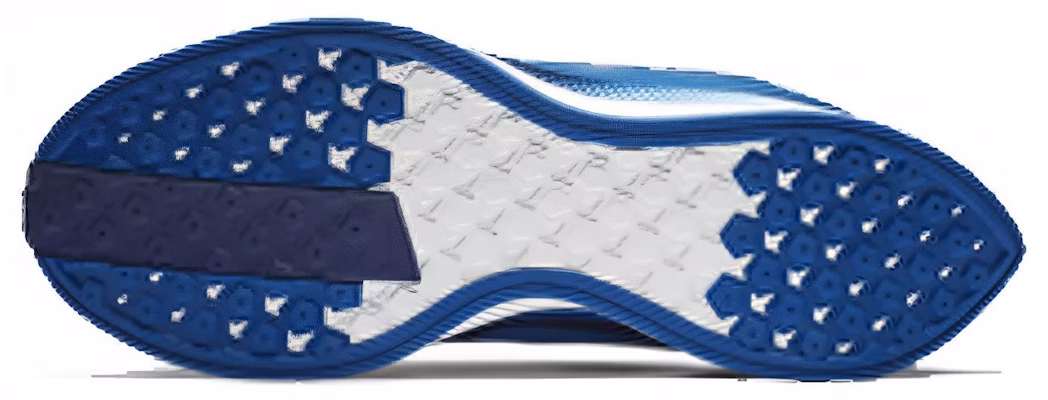 ナイキ ズーム ペガサス ターボ "インディゴフォース" AJ4114-400 Purchase ナイキ ズーム ペガサス ターボ "インディゴフォース" AJ4114-400