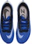 Shop Nike Zoom Rival Fly 3 'Biru' CT2405-402
