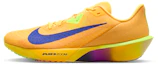 Buy Nike Zoom Rival Fly 4 薄荷紫/冰霜綠/超紫/靛藍爆裂 FV6040-801