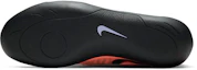 Details for Nike Zoom Rival SD 2 ''Felroze Mango'' 685134-800