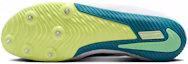 Details for Nike Zoom Rival Sprint 'White Bright Spruce Black' FZ9663-102