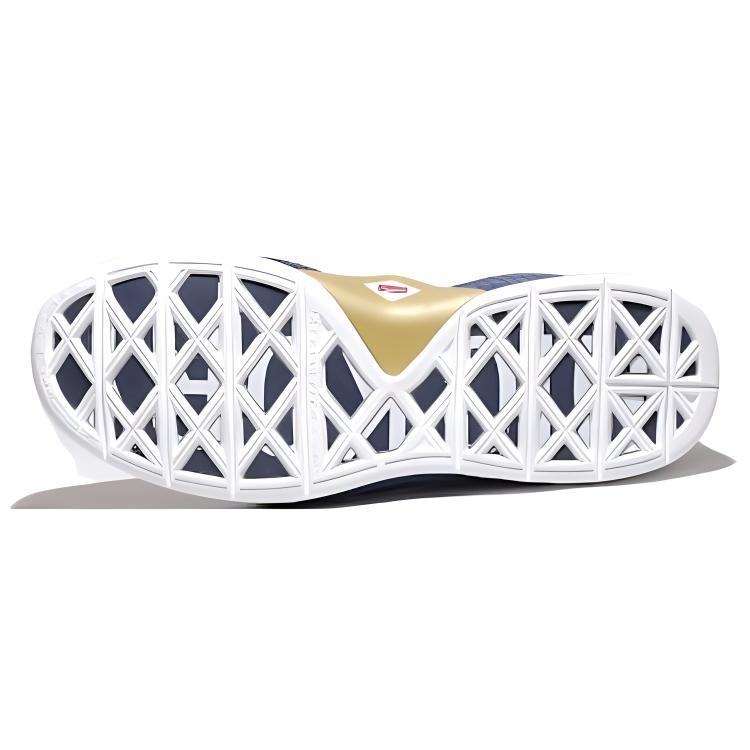 Shop Nike Zoom Soldier 2 Skills Academy 中筒 复古籃球鞋 男款 白藍