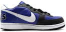 Order Nike Terminator Zoom Low 舒適百搭 輕便耐磨防滑 低筒 板鞋 男款 藍白黑