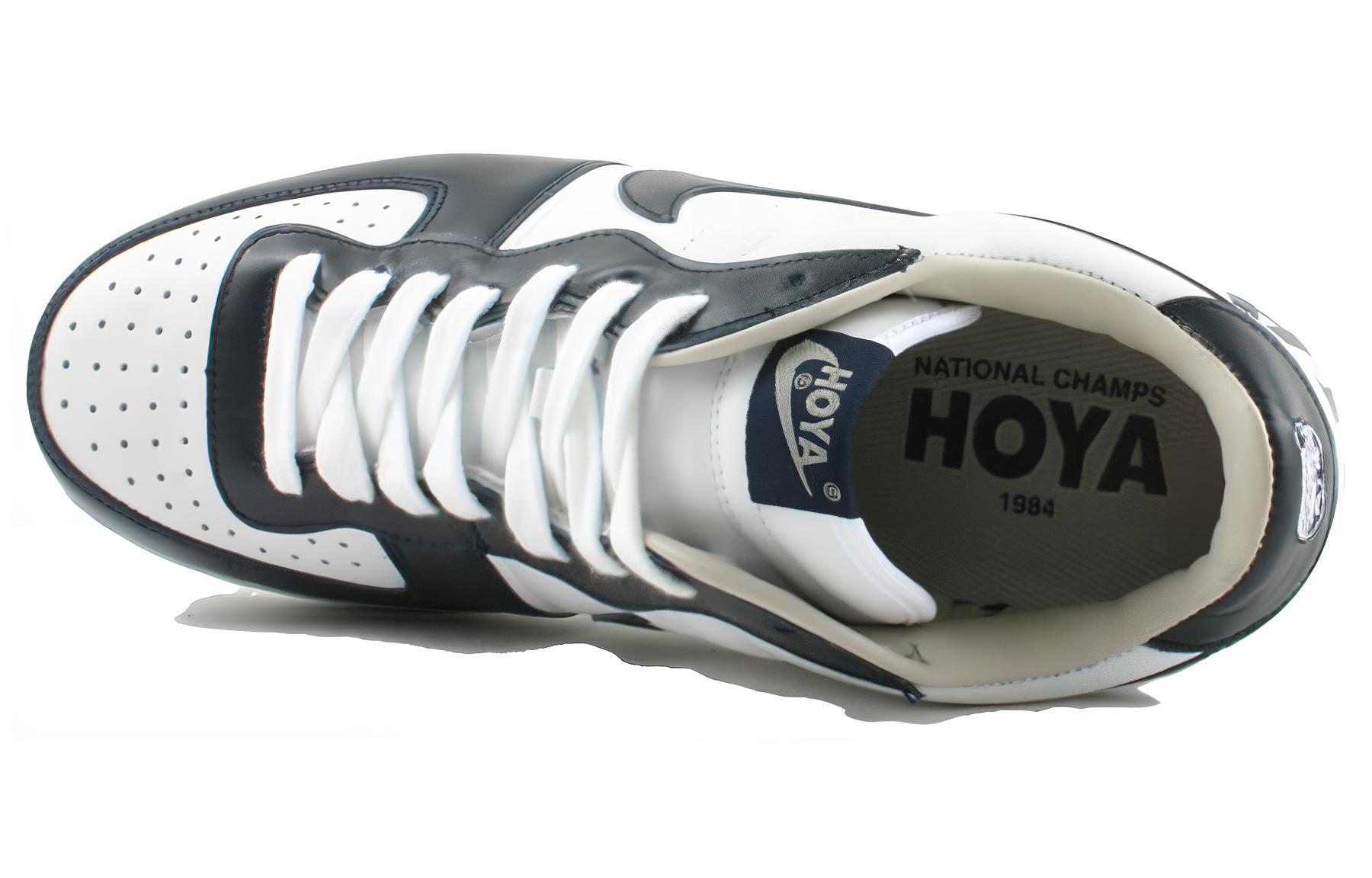 Lookbook 耐克 Zoom Terminator 低帮 'Hoyas' 310208-141