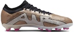 Order Nike Zoom Vapor 15 Pro AG-Pro 'Tembaga Perak Hitam' FB1444-810