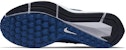 Nike Zoom Winflo 5 'Biru Gym' AA7406-400