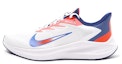 Buy Nike Zoom Winflo 7 /Biru 'Putih' DN4242-141