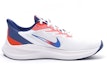 Order Nike Zoom Winflo 7 /Biru 'Putih' DN4242-141