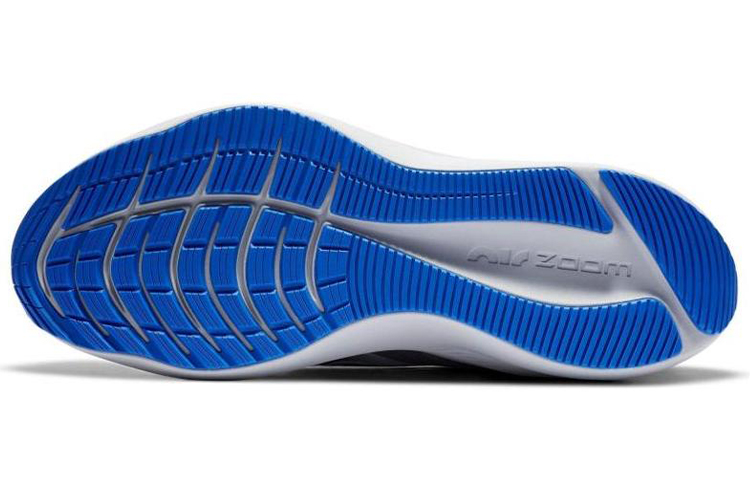 Details for Nike Zoom Winflo 7 Grigio/Blu Geo CZ8673-001
