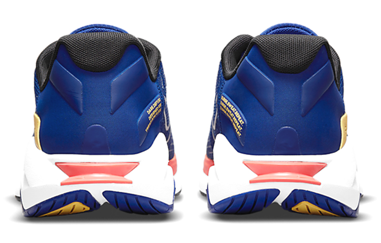 Purchase Nike ZoomX SuperRep Surge ''Diep Koningsblauw'' CU7627-448
