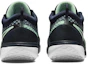 Purchase NikeCourt Zoom Pro '黑曜石薄荷泡沫' DH0618-410