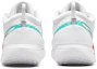 Purchase NikeCourt Zoom Pro '白色水洗藍紅色' DH0618-136