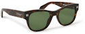 OFF-WHITE Moab Sunglasses Havana/Green (OERI107S24PLA0016055)