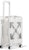 Off-White Rimowa See Through 36L Case White