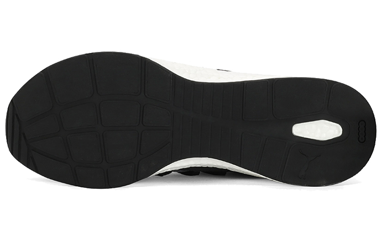 Details for One8 x Puma Virat Schoenen 193327-01