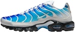 Buy One Block Down x Nike Air Max Plus 'Light Photo Blue' FZ3308-400