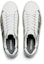 Details for Onitsuka Tiger Court-T 'Almond Beku' 1183A923-250