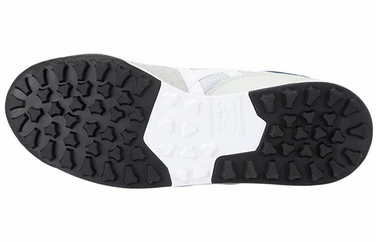 Purchase Onitsuka Tiger Horizonia ''Wit Blauw'' 1183A206-026