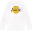 Order OVO x NBA Lakers L/S T-shirt White