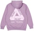 Buy Palace Arc'Teryx Hood Haze