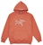 Palace Arc'Teryx Hood Ochre
