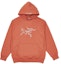 Order Palace Arc'Teryx Hood Ochre