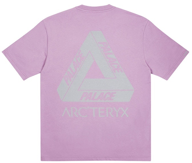 palace-arc-teryx-t-shirt-haze