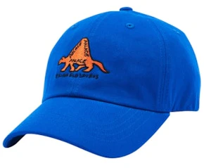 palace-dino-6-panel-blue-orange