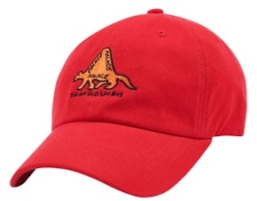 palace-dino-6-panel-red-orange