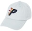Buy Palace Flaming P 6-Panel Grey