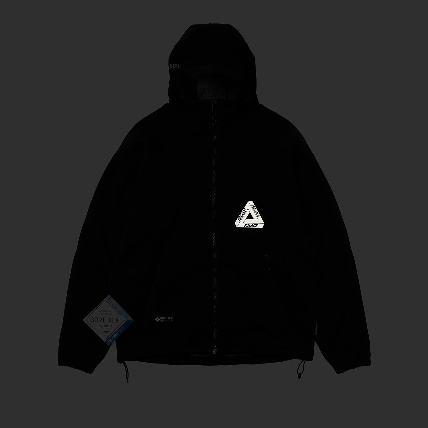 Details for PALACE FW22 Gore-Tex Infinium Reflective Logo Black Hooded Jacket . P23JK112