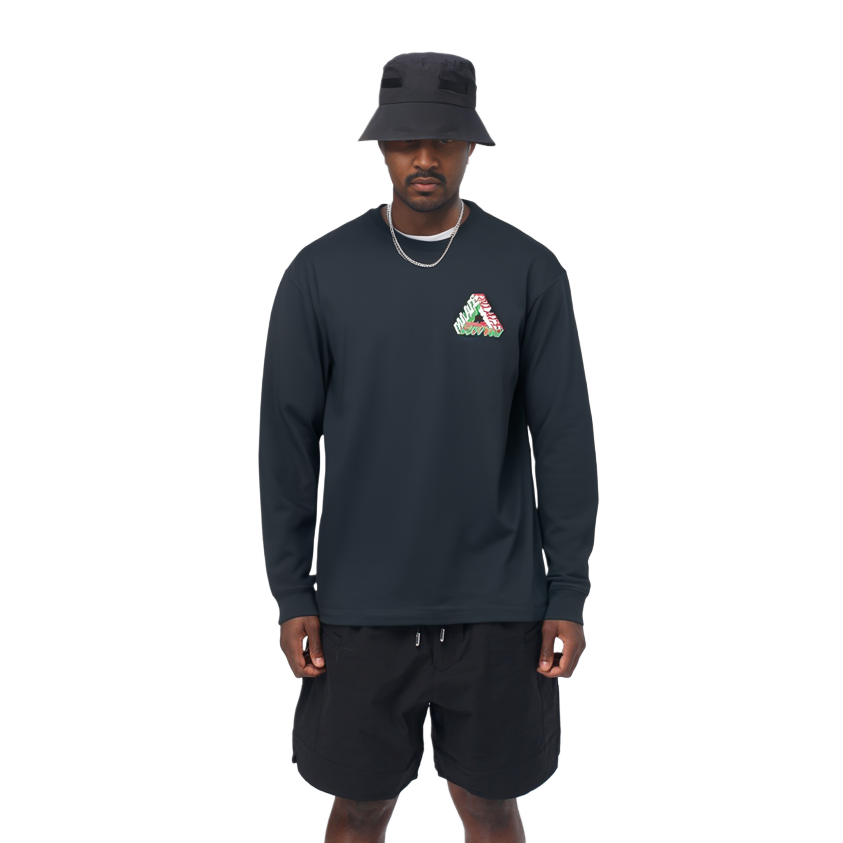 Shop PALACE FW23 Kaos Lengan Panjang Logo Printed Crewneck Warna Hitam P25LS018