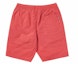 Order Palace Gassy Short Washed Red